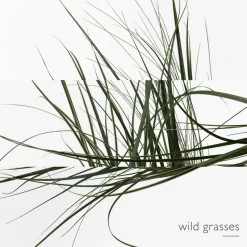 Un Jardin sur le Toit Eau de Toilette