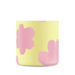 Urban Bottle Daydreaming