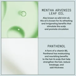 Volumizing Thickening Mousse