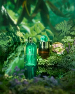 Wild Mint & Lavandin Eau De Parfum