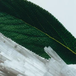 Wood Sage & Sea Salt Home Diffuser