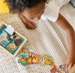 Wooden Magnets in a Box Animal