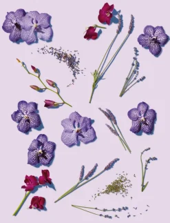 Wrinkle Blur Bakuchiol Eye Gel Creme