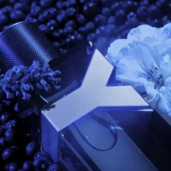 Y Eau de Parfum Intense