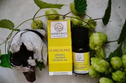 Ylang ylang Olie Økologisk