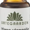 Ylang ylangolie ØKO